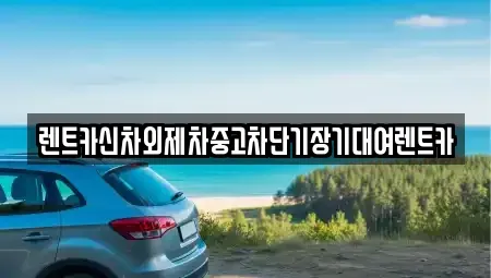 서울 마포구 도화동 단기렌트카 전문 렌트카신차외제차중고차단기장기대여렌트카