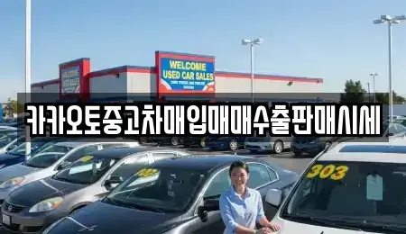 서울 마포구 도화동 중고차 전문 카카오토중고차매입매매수출판매시세