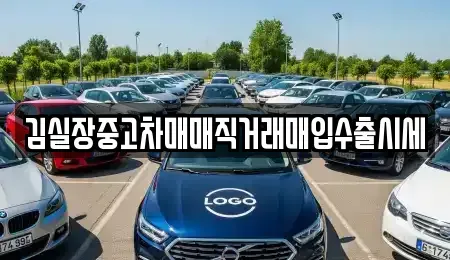 서울 마포구 도화동 중고차매입 전문 김실장중고차매매직거래매입수출시세