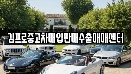 서울 마포구 도화동 중고차매입 전문 김프로중고차매입판매수출매매센터