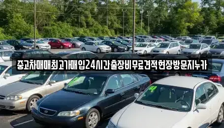 서울 마포구 도화동 중고차매입 전문 중고차매매최고가매입24시간출장비무료견적현장방문지누카