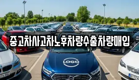 충북 청주시 상당구 영동 중고차 전문 중고차사고차노후차량수출차량매입