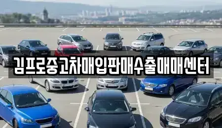 충북 청주시 상당구 영동 중고차매입 전문 김프로중고차매입판매수출매매센터